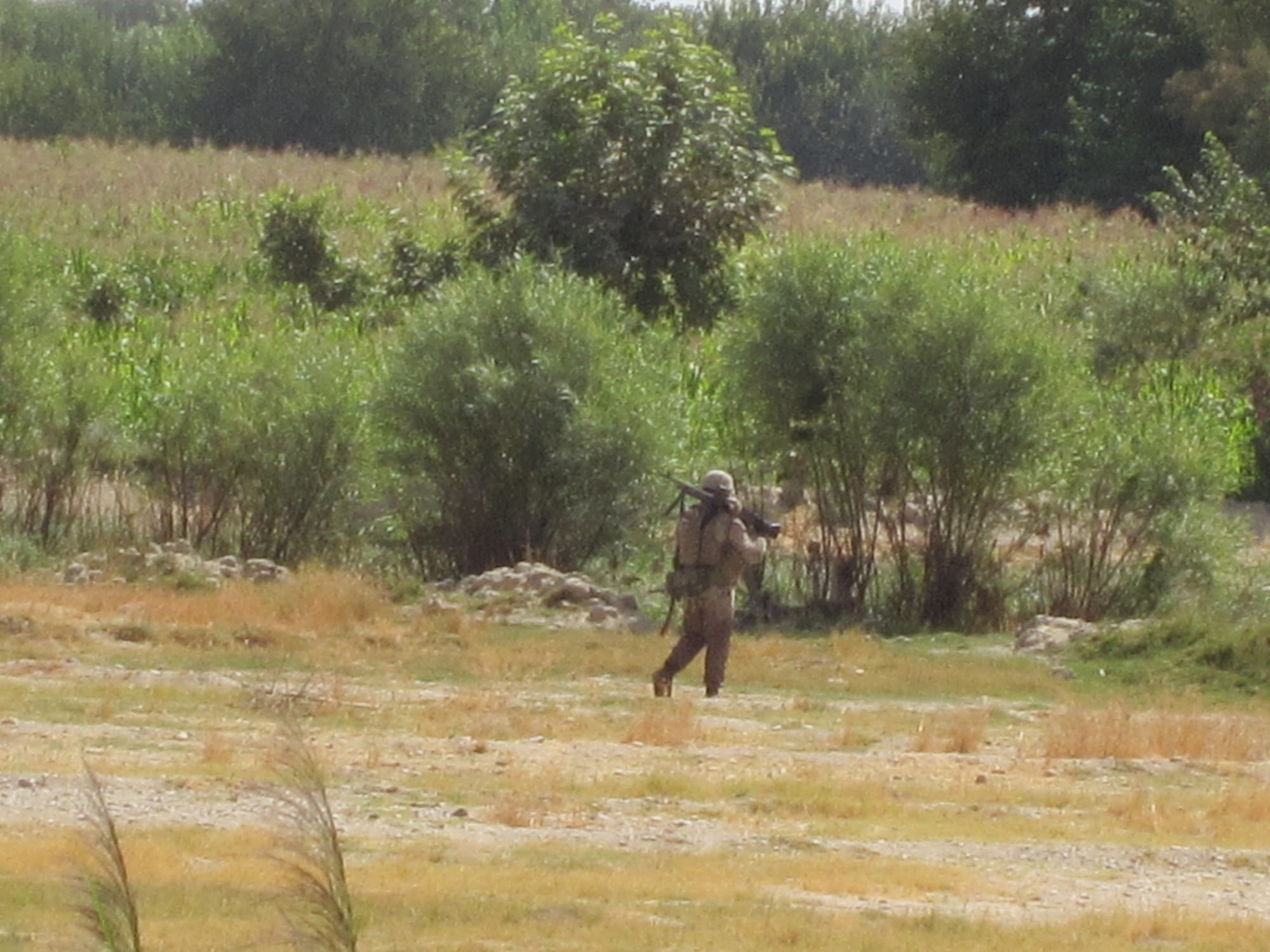 Book Update: First Steps