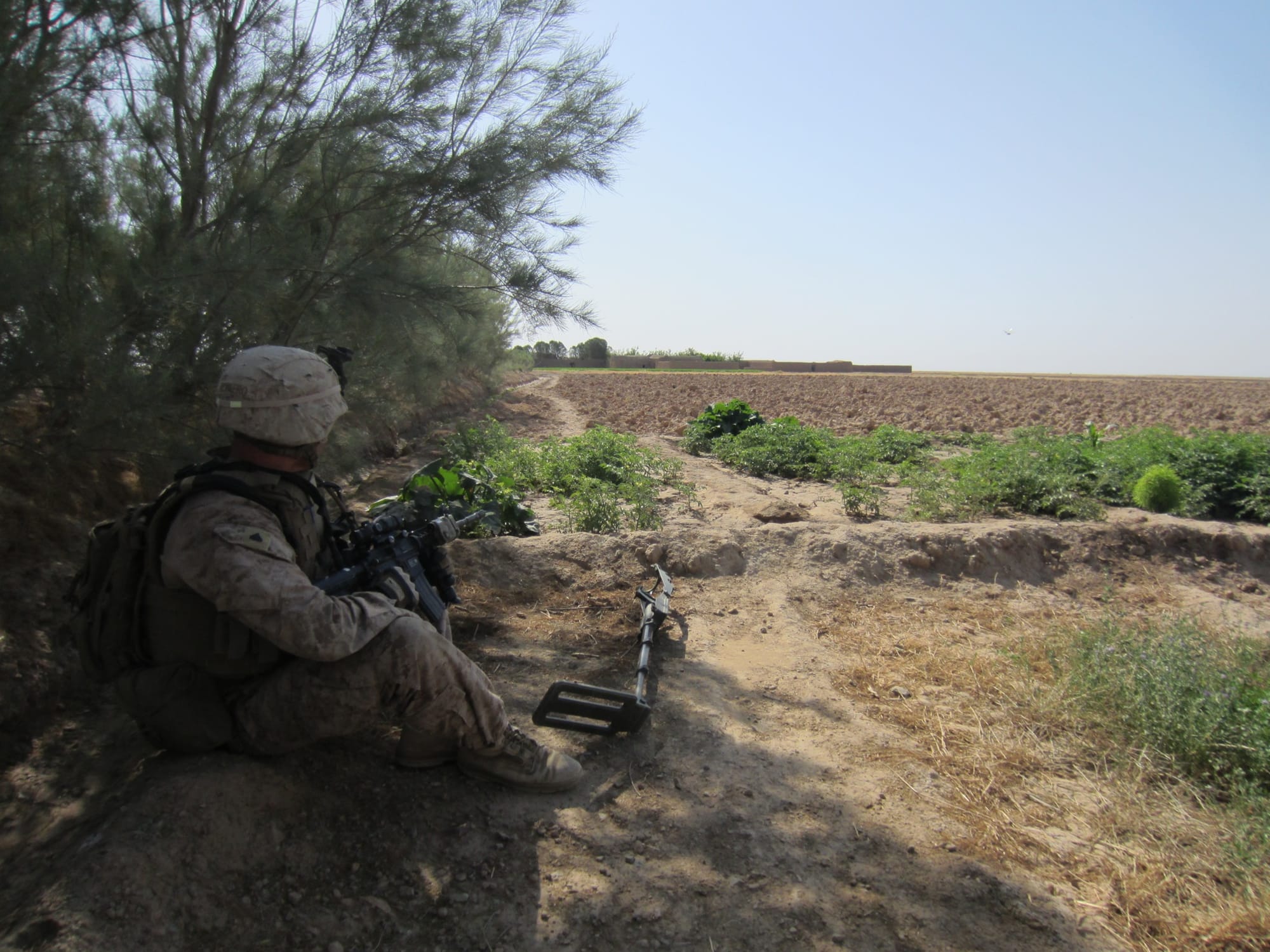 Writing Update Feb. 26